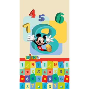 Foto závěs s motivem Mickey Mouse, 140×245 cm