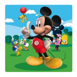 Dekorační obrázek z akrylátového plexiskla s motivem Mickey Mouse, 19×19 cm