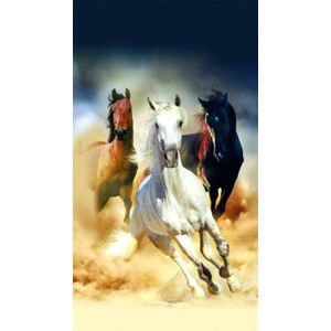 Foto závěs s motivem Koně, 140×245 cm