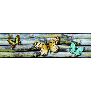 Samolepicí bordura s motivem Motýlů, 0,14×5 m