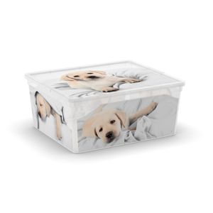 Úložný box velikosti M motiv Puppy & Kitten - poslední kusy
