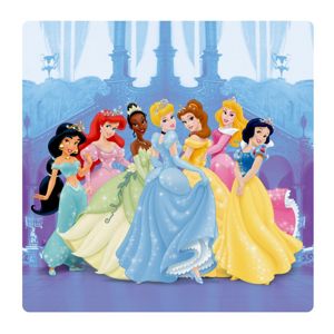 Dekorační obrázek z akrylátového plexiskla s motivem Princezny, 19×19 cm